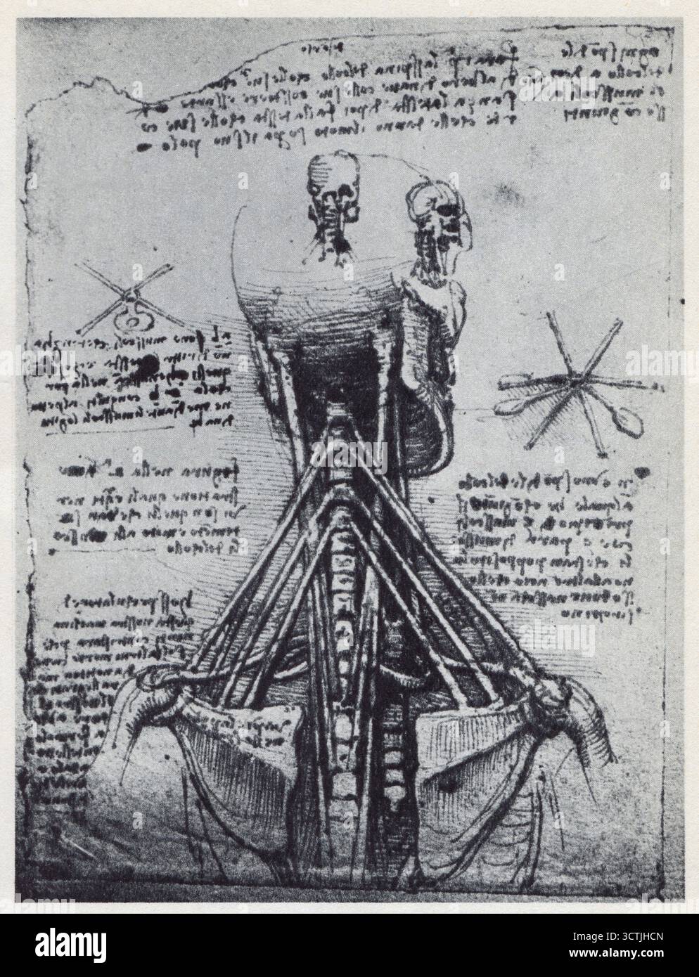 LEONARDO da VINCI.Studio anatomico.1513 Foto Stock