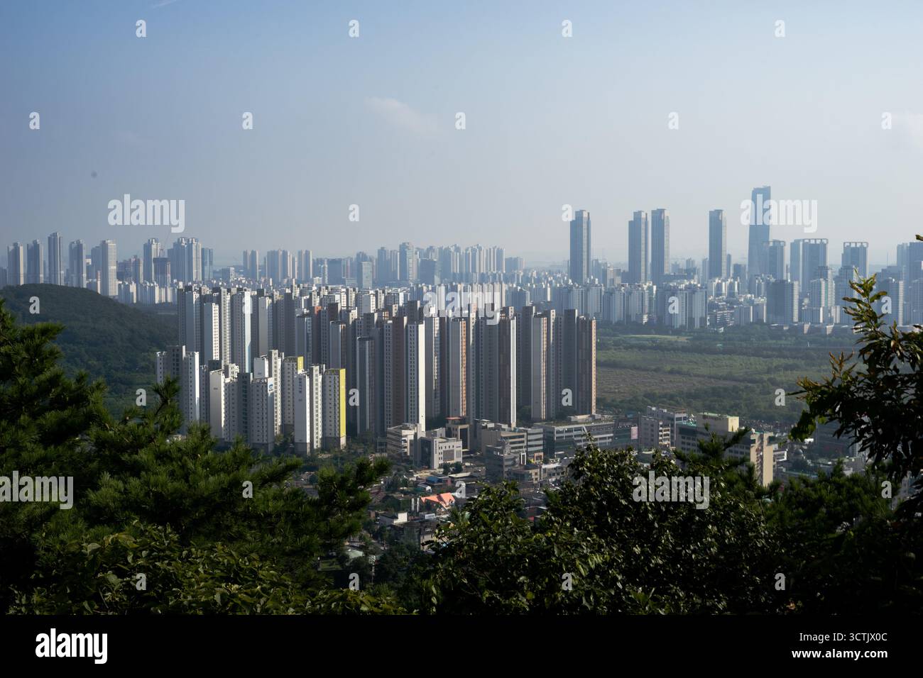 Moderno skyline della città con gruppi di edifici ad appartamenti alti visti da una collina boscosa in una giornata di sole limpido. Foto Stock