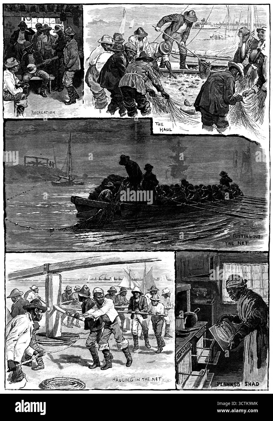 Pesca americana: Pesca al sardo sul Delaware, 1883. "Ricreazione; cala; messa in rete; trasporto in rete; spianato...[questi pesci] salgono sui grandi fiumi della costa atlantica... per deporre la loro riproduzione all'avvicinarsi dell'estate, [e] producono complessivamente un rendimento stimato per un milione e mezzo di dollari... le navi, le barche e i pescatori impegnati in questa ricerca sono spesso quelli degli stati del New England... ma i loro assistenti a riva sono comunemente gli uomini liberti n*gro, che aiutano a pescare nelle reti e svolgere vari lavori subordinati. Alcuni di questi vivaci "d*rkies&quo" Foto Stock