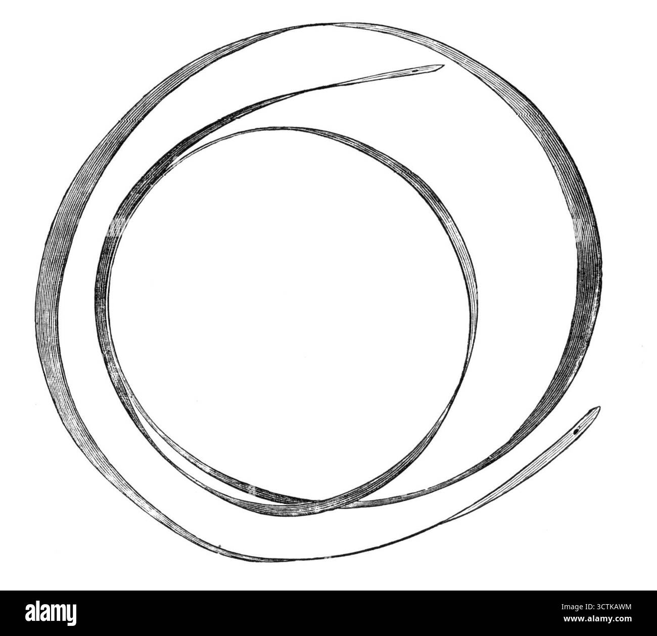 Ornamenti d'oro dalle tombe degli Inca del Perù - bobina d'oro indossata come cintura o fascia per la testa, 1883. Oggetto di '...una collezione molto interessante e unica di ornamenti d'oro delle "Huacas" o tombe degli Inca del Perù. Sono stati ottenuti dal Senor Don Leocadio Maria Arango, di Medellin, durante una residenza di trent'anni in quel paese, ma sono ora passati alla collezione di Lady Brassey... L'oro, nel linguaggio figurativo del popolo, era la sostanza delle "lacrime piangute dal Sole"... Fig. 2 rappresenta una bobina piatta d'oro utilizzata come cintura o huaracu durante un calcio Foto Stock