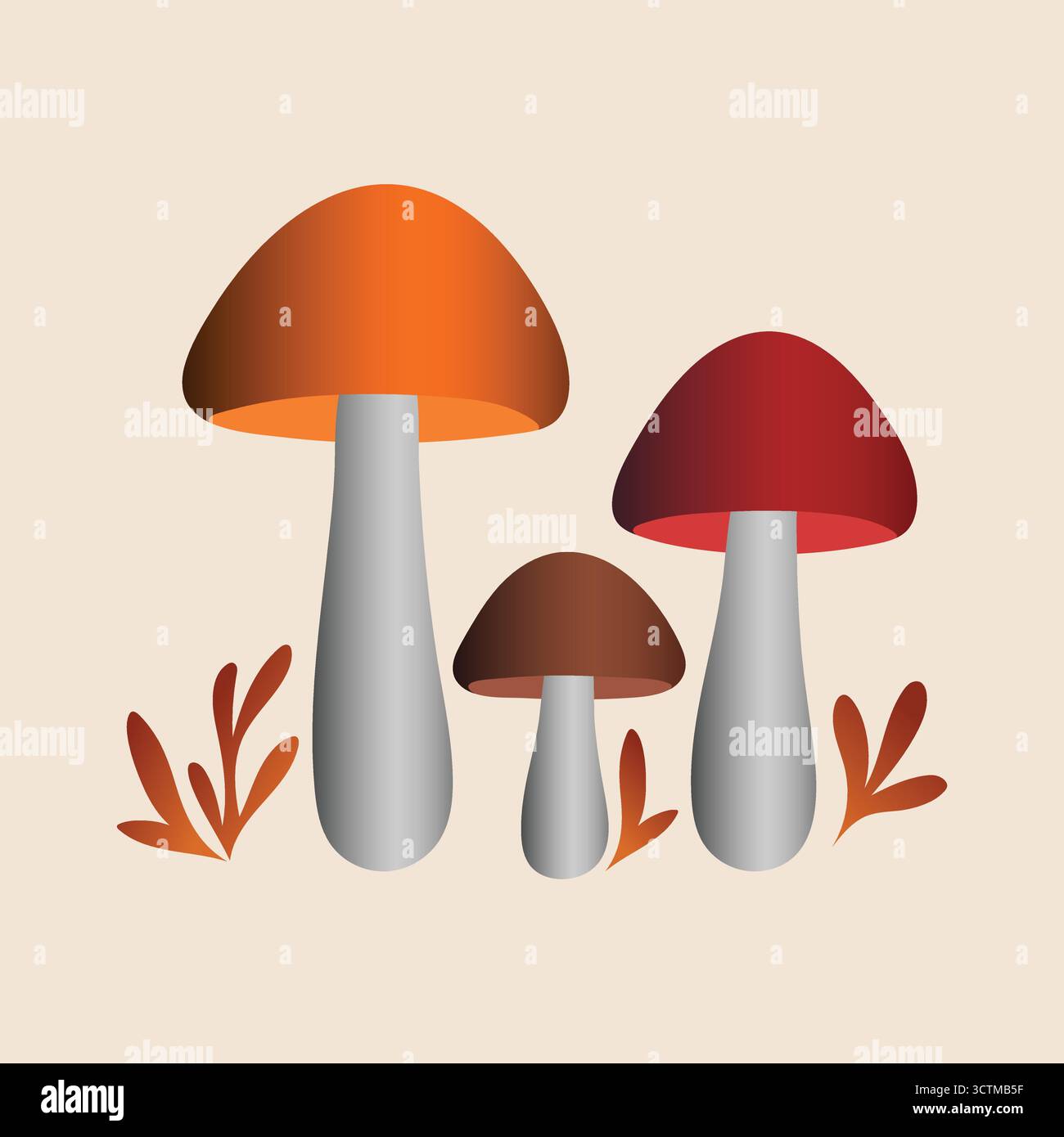 Set di funghi e foglie autunnali Vector Illustrazione Vettoriale