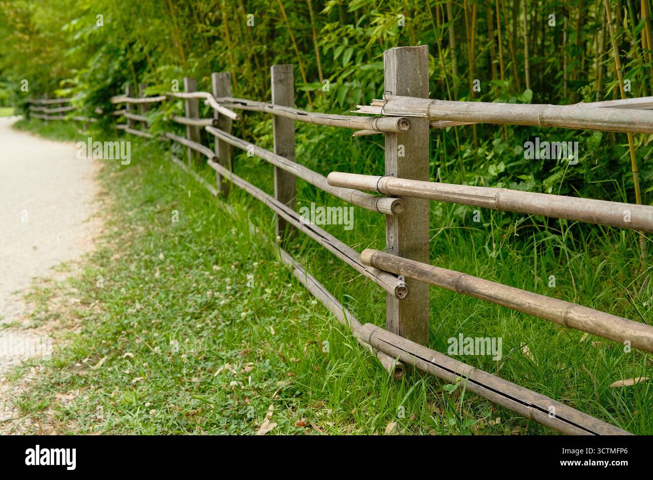Un'antica recinzione in legno ai margini della strada si estende in lontananza sullo sfondo di una fitta foresta. Foto Stock