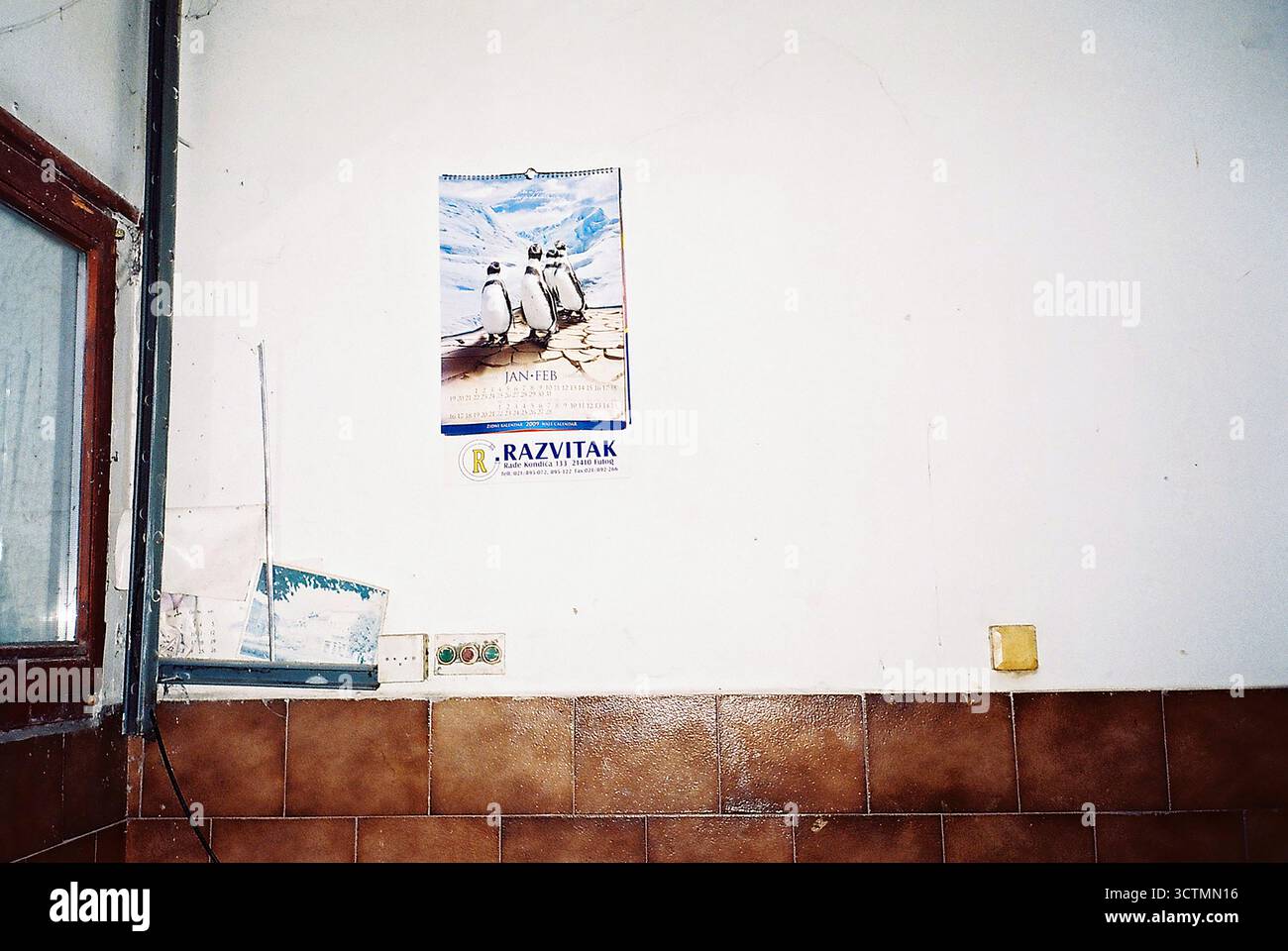 Parete bianca in una fabbrica abbandonata con un vecchio calendario dei pinguini dimenticato, catturato in flash analogico per texture e atmosfera. Foto Stock