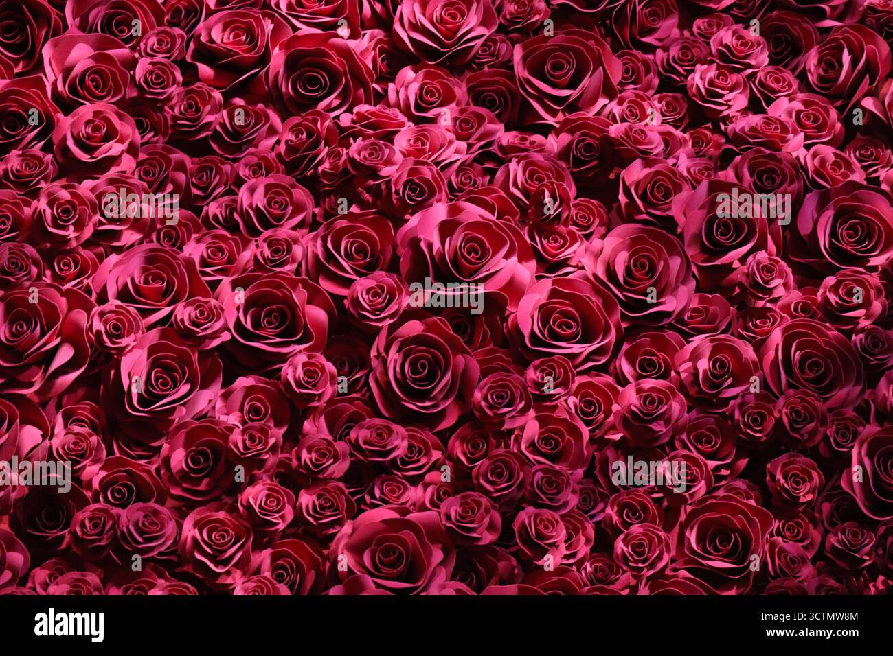 Parete di fiori di sfondo con incredibile rose Foto Stock