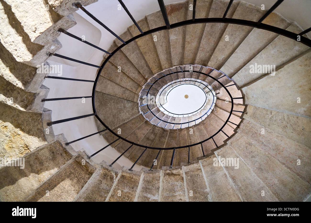 Il Tablino e la scala ovale, progettata da Andrea Palladio, 1560, Monastero dei Canonici regolari del Laterano, gallerie dell'Accademia, Galleria dell'Accademia, campo della Carita, Dorsoduro, Venezia, Venezia, Veneto, Italia. Foto Stock