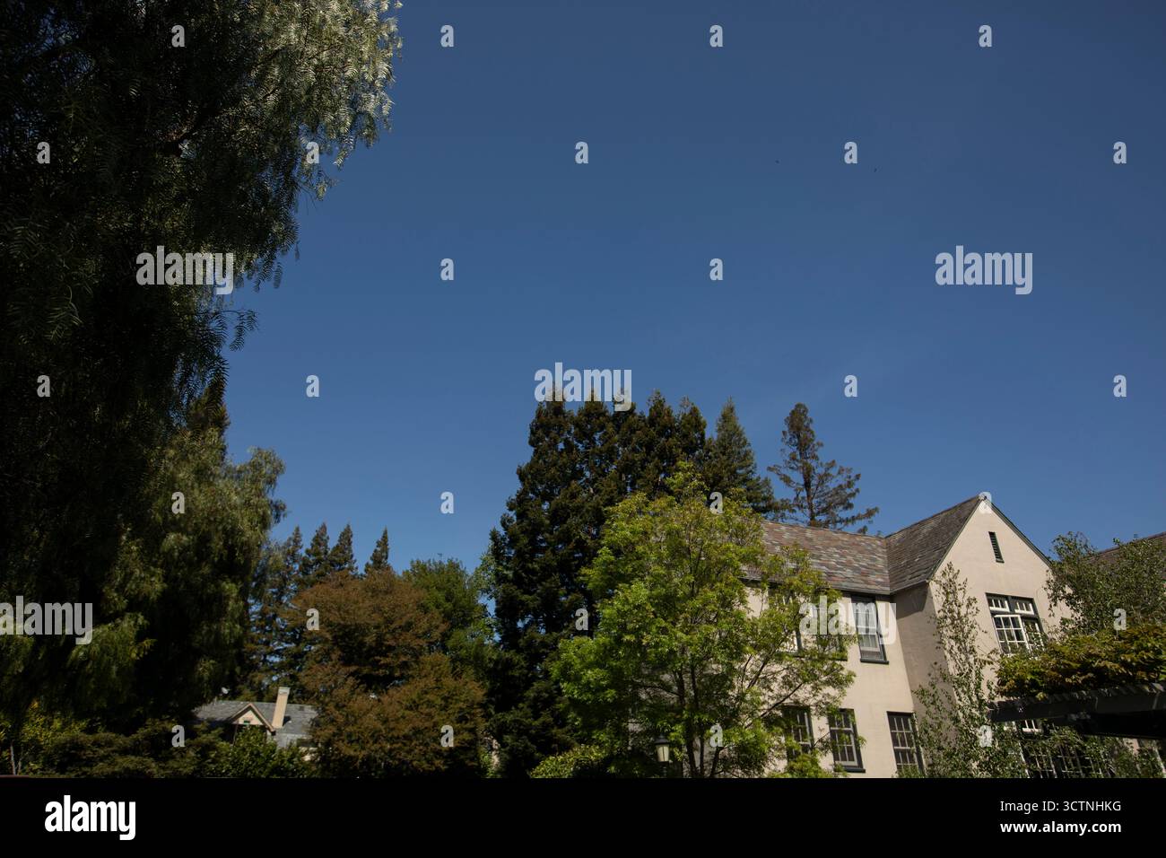 Vista diurna degli alloggi nella città di Atherton, California, Stati Uniti. Foto Stock