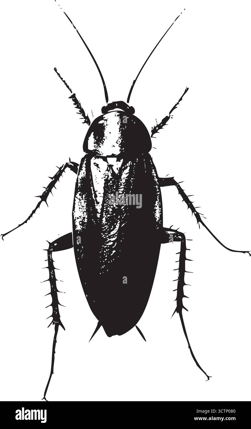 Holy Spirit Typography Vector – Design di lettere religiose gotiche d'epoca per abbigliamento e adesivi basati sulla fede Illustrazione Vettoriale