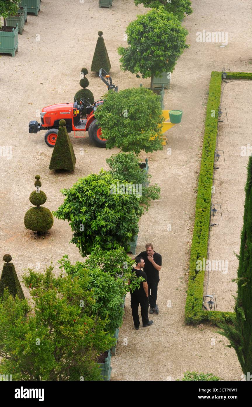 Acquista Versatile sculture da giardino arrugginito in Contemporary Designs