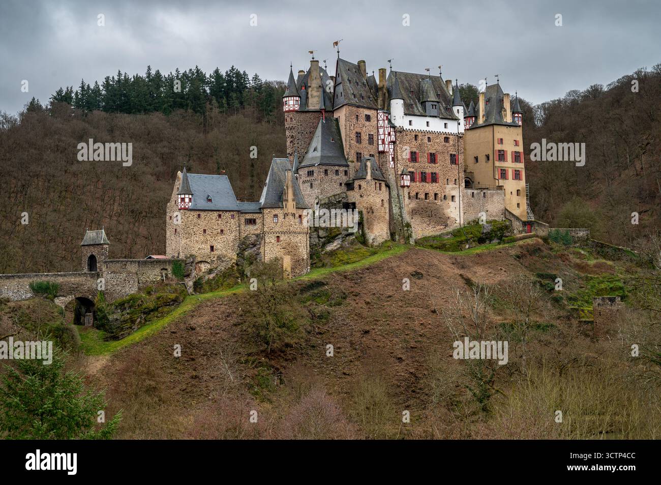 Vista laterale del castello di Eltz incorniciato da alberi senza foglie sotto un cielo coperto, che mette in risalto le sue torri medievali in pietra e i dintorni boschivi. Foto Stock