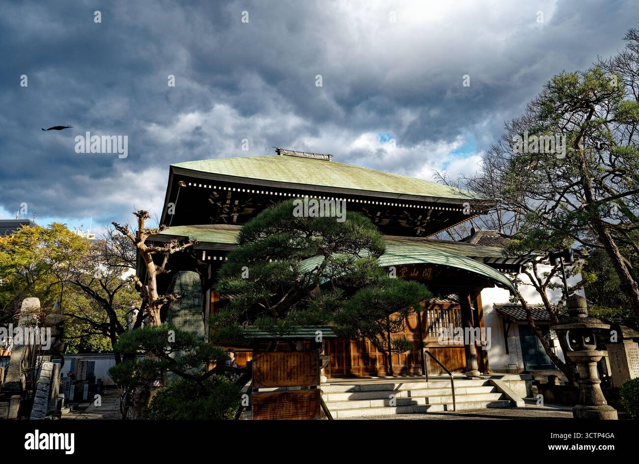 La sala principale del Tempio di Isshin-ji incorniciata da alberi di pino curati e da incombenti nuvole di tempesta Foto Stock