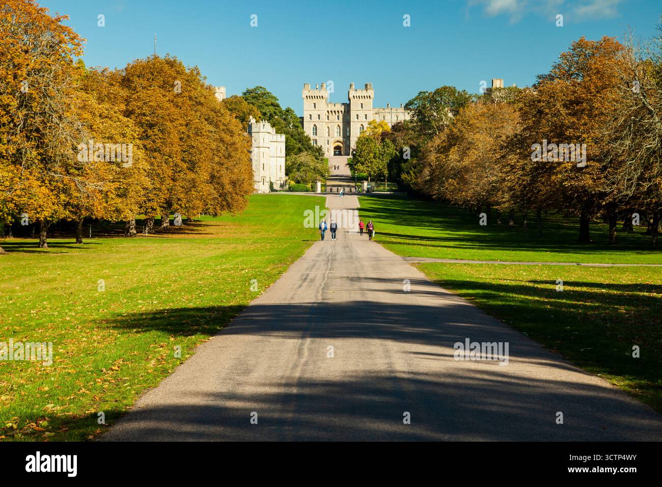 Mattina d'autunno sulla lunga passeggiata a Windsor, Berkshire, Inghilterra. Castello di Windsor in lontananza. Foto Stock