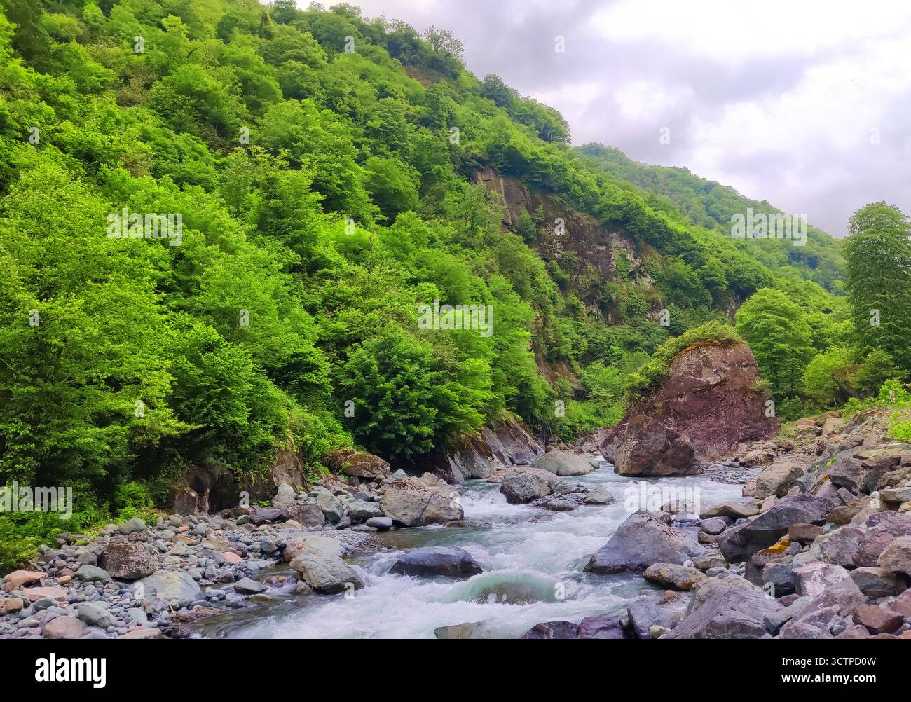 Vista dinamica di un fiume che si snoda attraverso un vivace paesaggio verde. Terreno roccioso e fitto fogliame. Fiume incorniciato da scogliere rocciose e abbondanti alberi. Foto Stock
