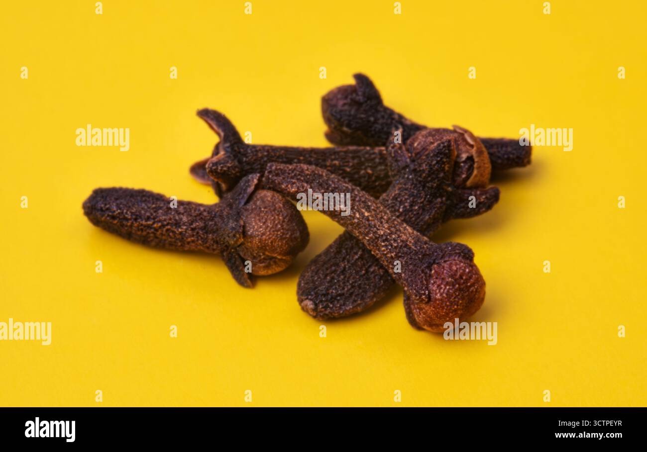 Primo piano di chiodi di garofano secchi su sfondo giallo brillante. Spezie aromatiche utilizzate in cucina, cottura e rimedi tradizionali. Profumo forte e sapore ricco. Foto Stock