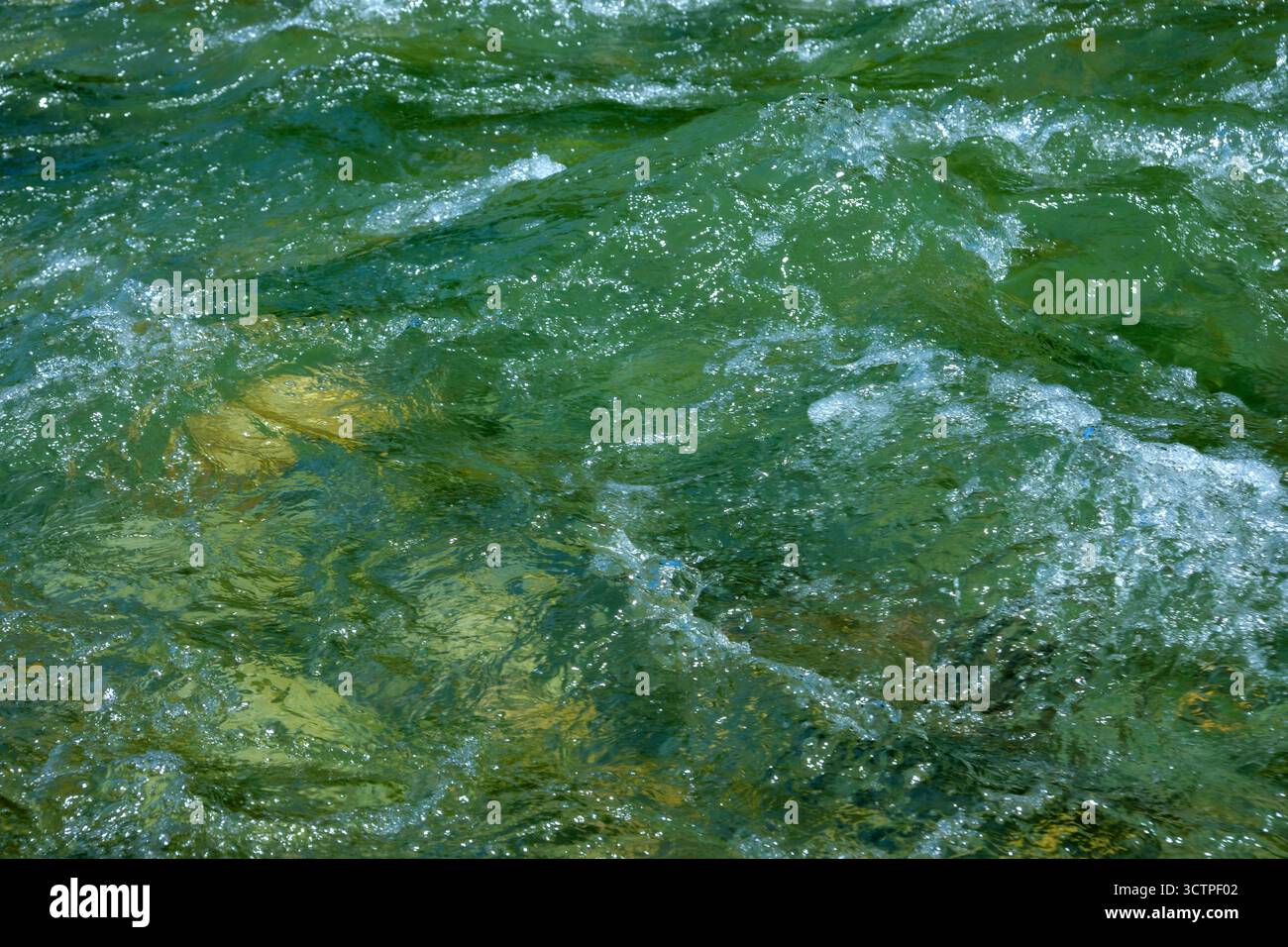 Primo piano dell'acqua verdastra del fiume con movimento vorticoso e schiuma bianca. Le onde riflettono la luce del sole, creando texture e brillantezza. Cattura l'energia, Foto Stock