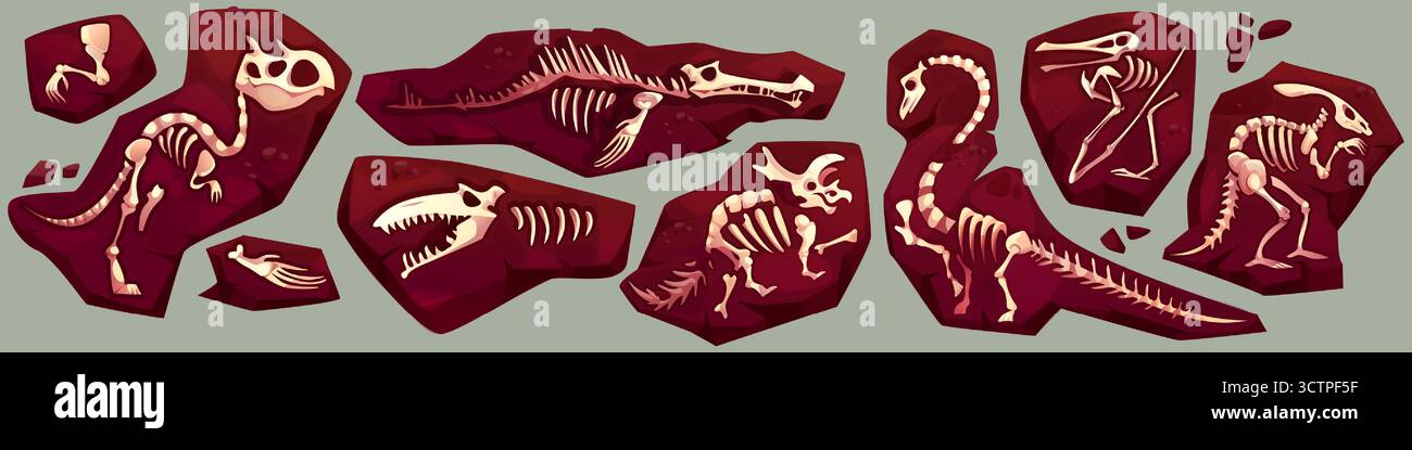 Frammenti di scheletro fossili di dinosauro antichi incorporati in lastre di pietra marrone per la scoperta archeologica. Ossa di Tyrannosaurus, pterodattilo e stegosaurus nel suolo. Reperti di scavi paleontologici per il museo Illustrazione Vettoriale