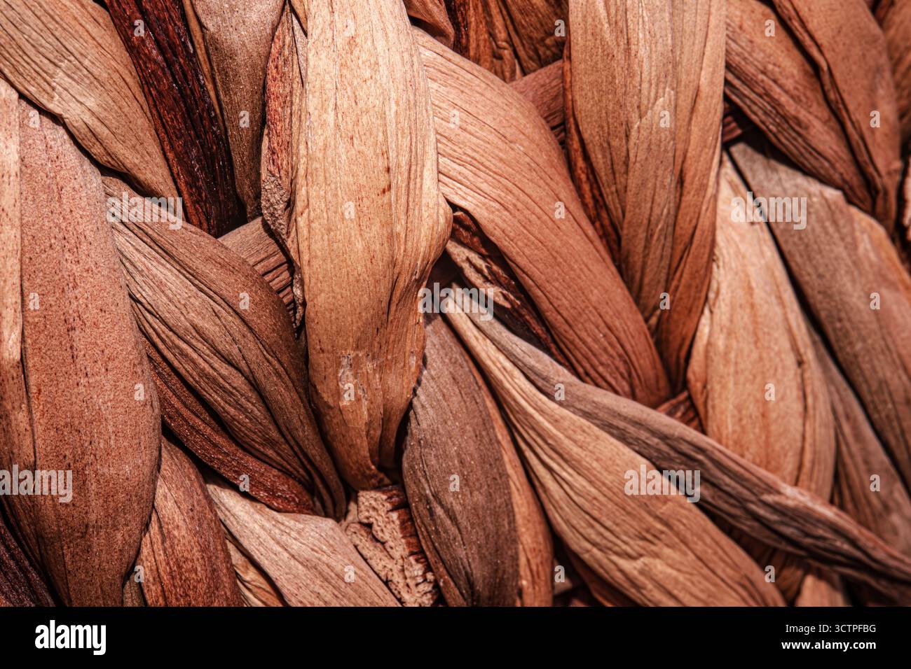 Foto macro di fibre naturali intrecciate con motivo intrecciato. La consistenza mostra toni di marrone ruvidi e terrosi. Spesso si usa un aspetto rustico Foto Stock