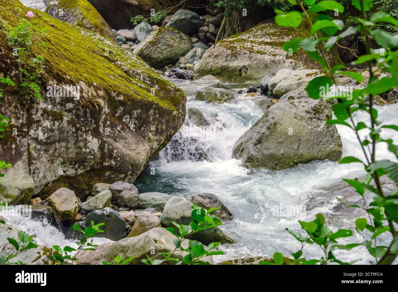 Ruscello di montagna che scorre attraverso massi muschiati e rocce. Creare cascate d'acqua. Circondato dal verde, il fiume che scorre velocemente mette in mostra il grezzo Foto Stock