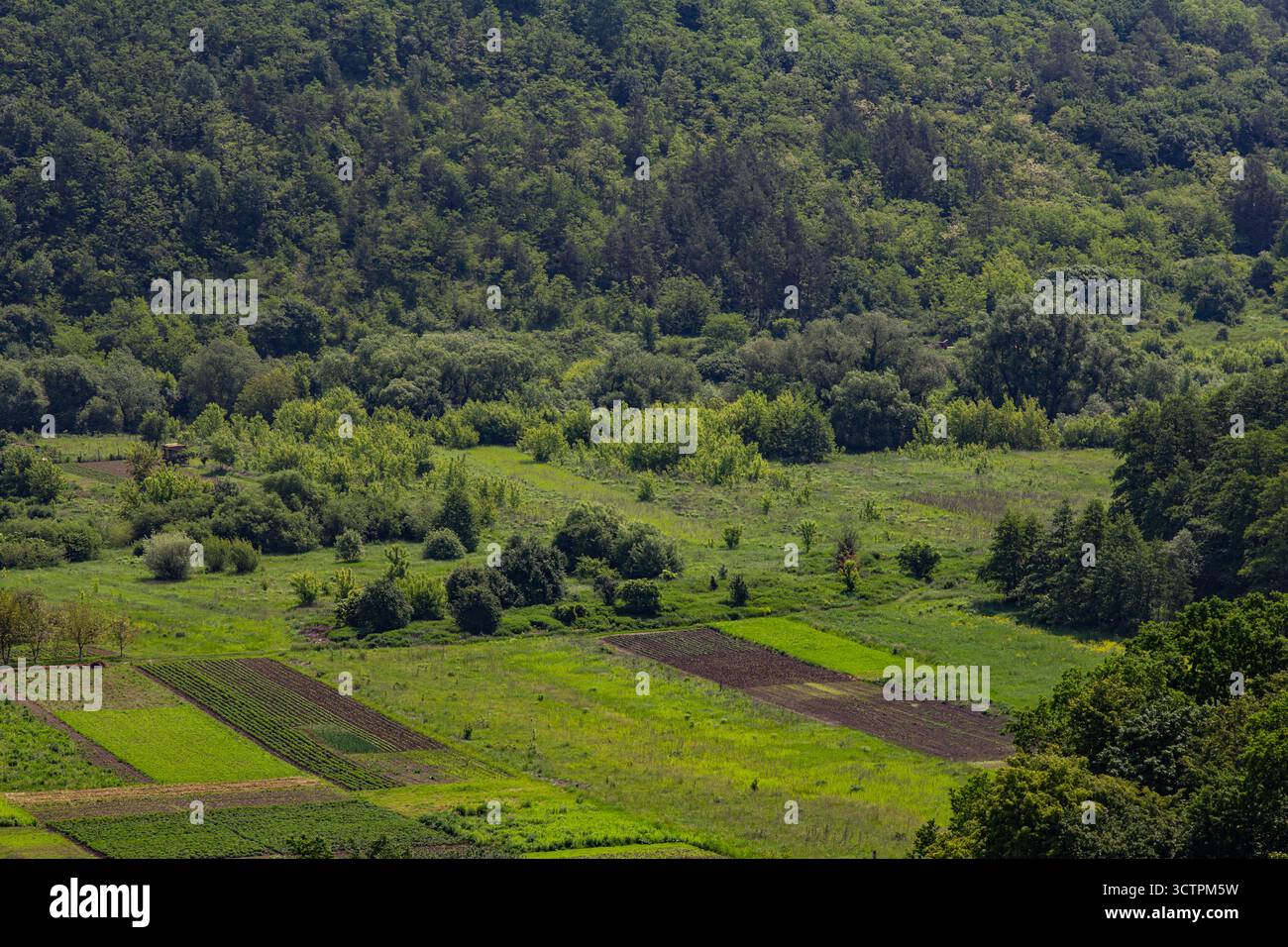 una vasta distesa di verde vivace e campi coltivati riempie la valle mostrando la bellezza della natura, bagnata dal sole, giorno d'estate in un'area rurale. Foto Stock