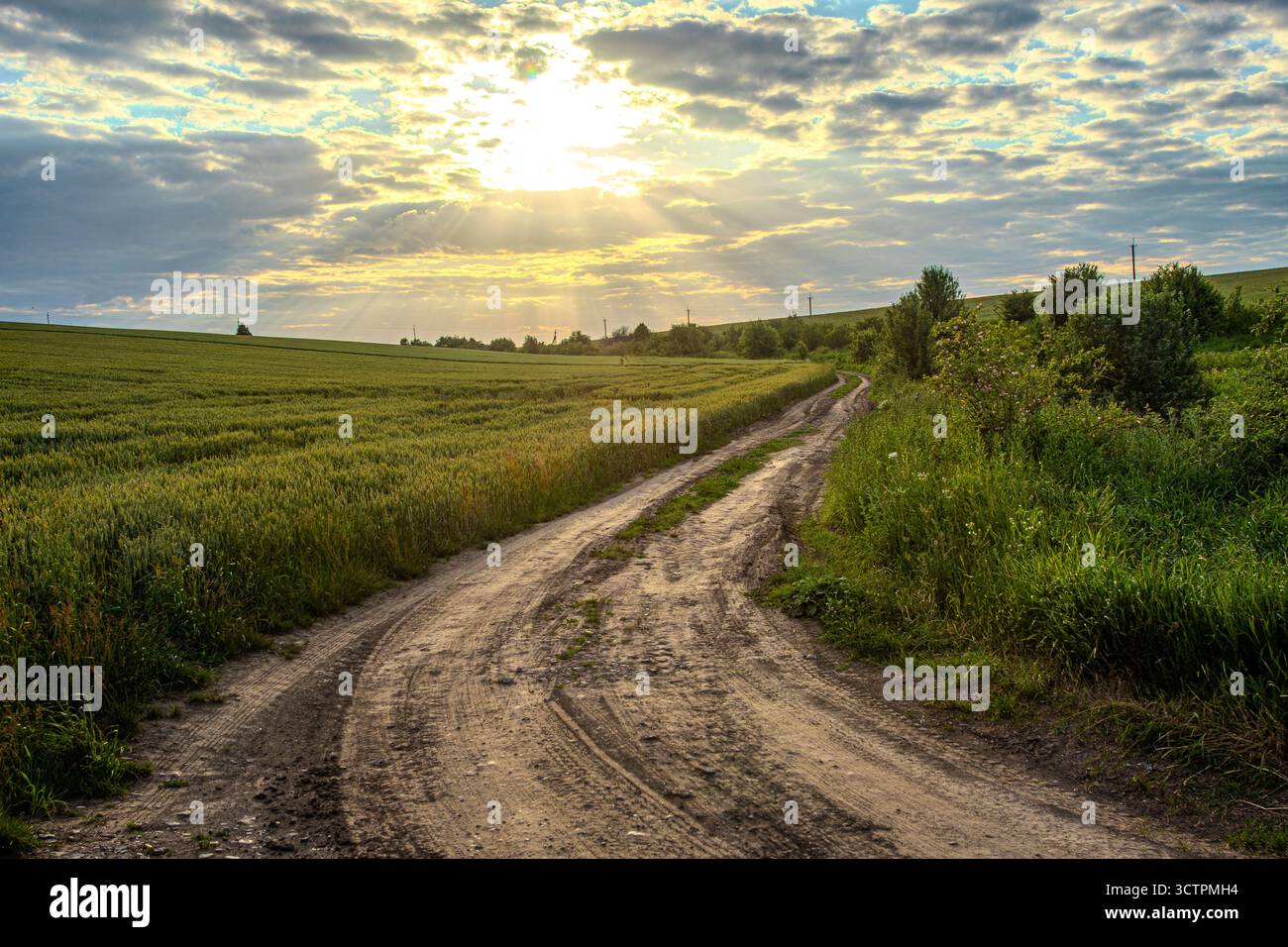 Una tranquilla strada sterrata si snoda attraverso lussureggianti campi verdi mentre la luce del sole si infrangono tra le nuvole creando un'atmosfera serena in serata. Foto Stock