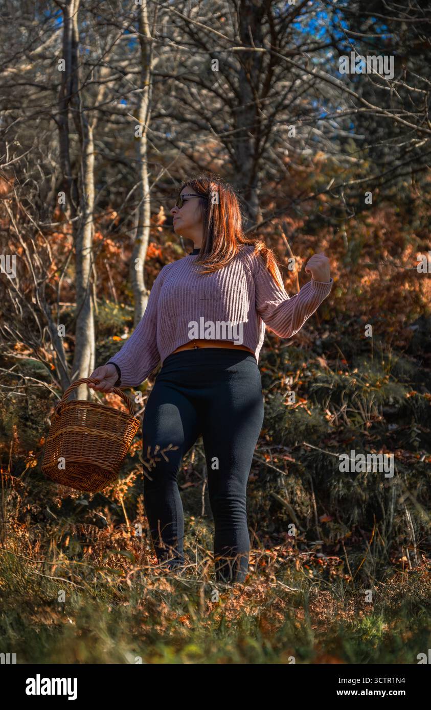 Un'attraente raccoglitrice di funghi che indossa leggings e un maglione corto si staglia con sicurezza con un cesto in vimini intrecciato in un'assolata foresta autunnale, look Foto Stock