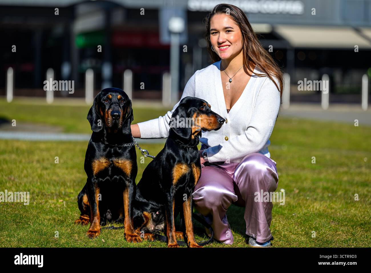 Inaugurazione del Crufts 2025 presso il National Exhibition Centre (NEC). Organizzato dal Kennel Club, la più grande esposizione canina del mondo.... Foto Stock