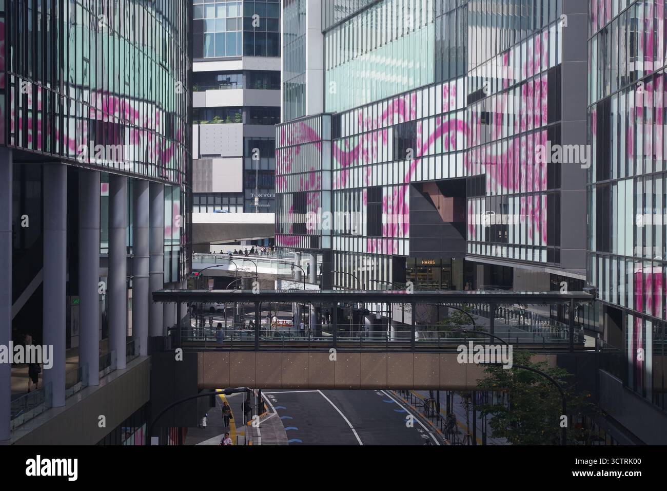 Vista di Shibuya, Tokyo, Giappone Foto Stock