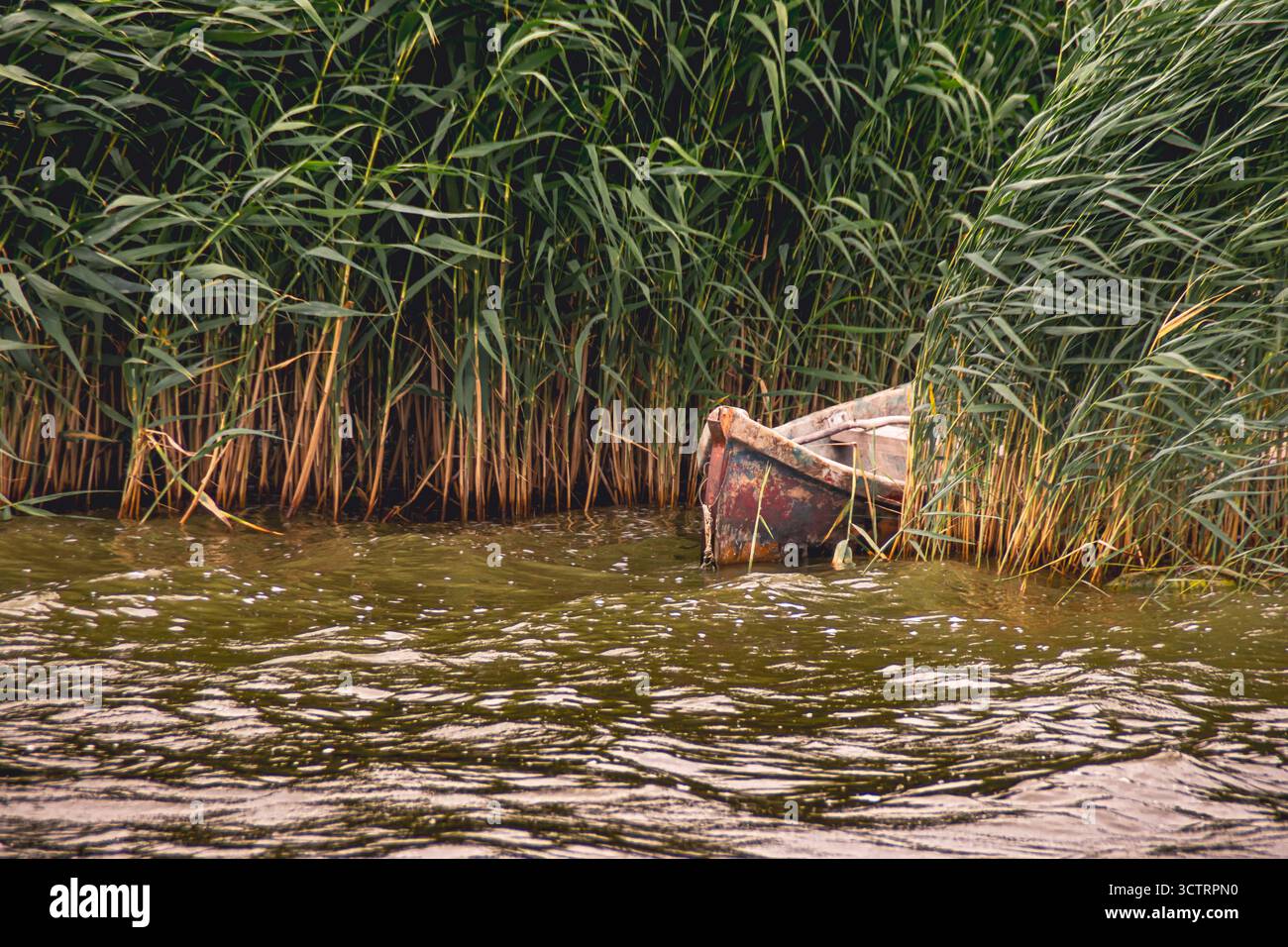 Il meraviglioso Delta Moldovei, Iasi, Romania Foto Stock