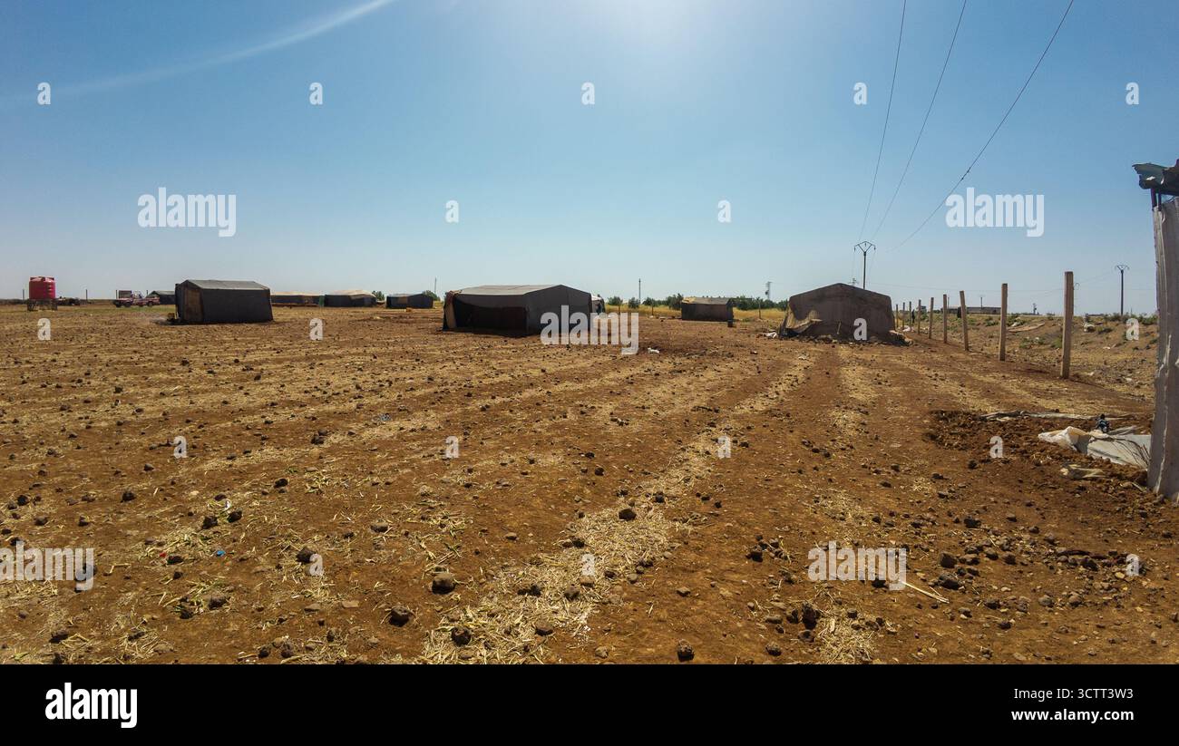 Paesaggio rurale con campo beduino e linee elettriche sotto un cielo limpido. Siria Foto Stock