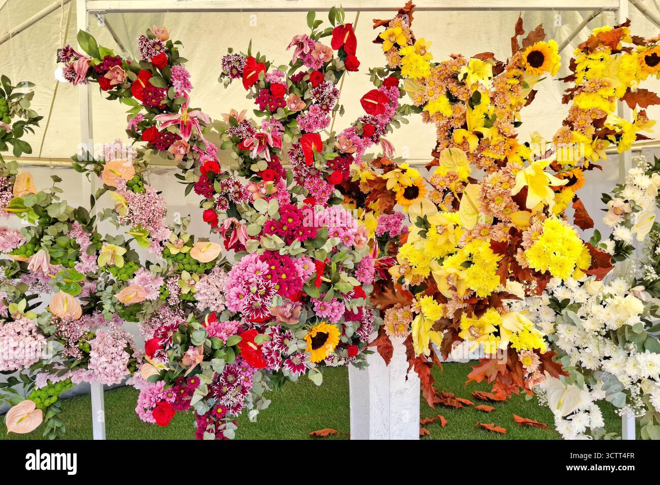Vari fiori a forma di albero Foto Stock
