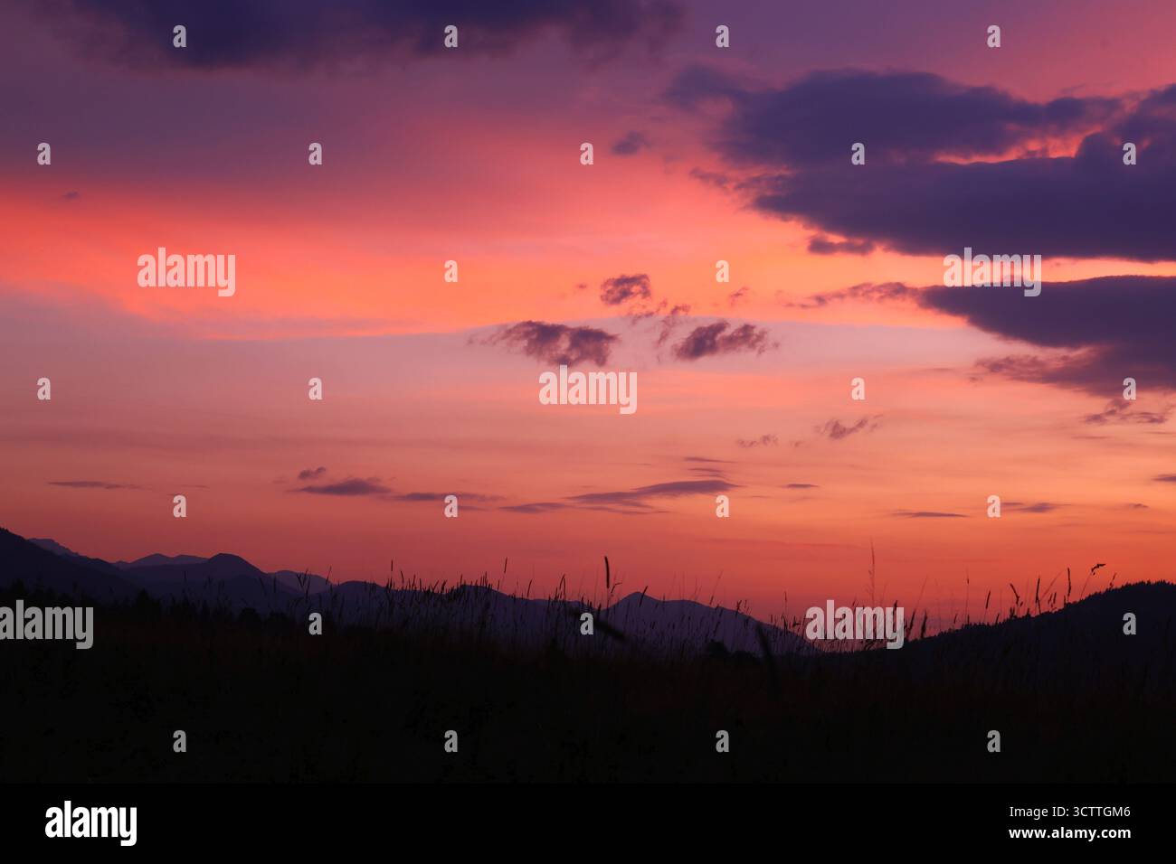 colori vivaci del tramonto sulle silhouette di montagne e piante Foto Stock