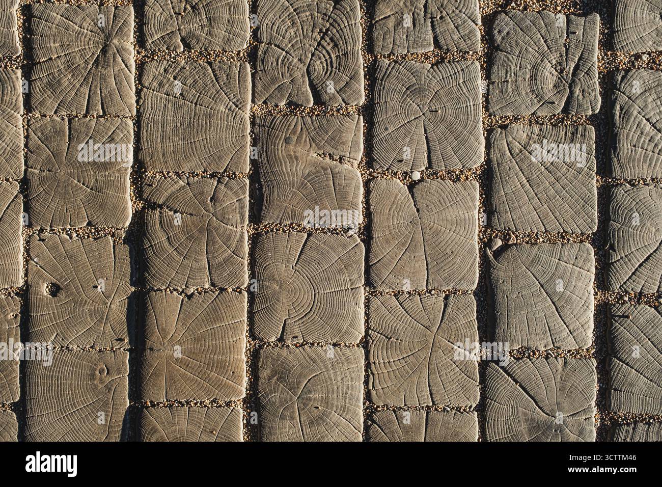 Consistenza di vecchie piastrelle di legno incrinate in contrasto con la luce del sole Foto Stock