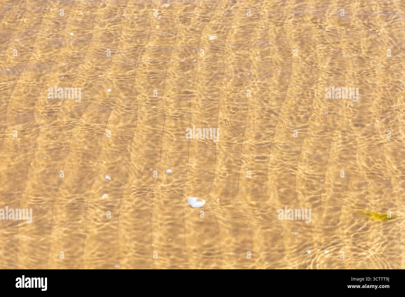 Intricate increspature di sabbia visibili sotto acque limpide e poco profonde con onde dolci, sulla tranquilla costa del Mar Baltico, creando un effetto astratto naturale Foto Stock