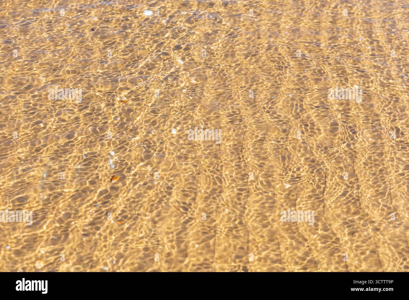 Intricate increspature di sabbia visibili sotto acque limpide e poco profonde con onde dolci, sulla tranquilla costa del Mar Baltico, creando un effetto astratto naturale Foto Stock