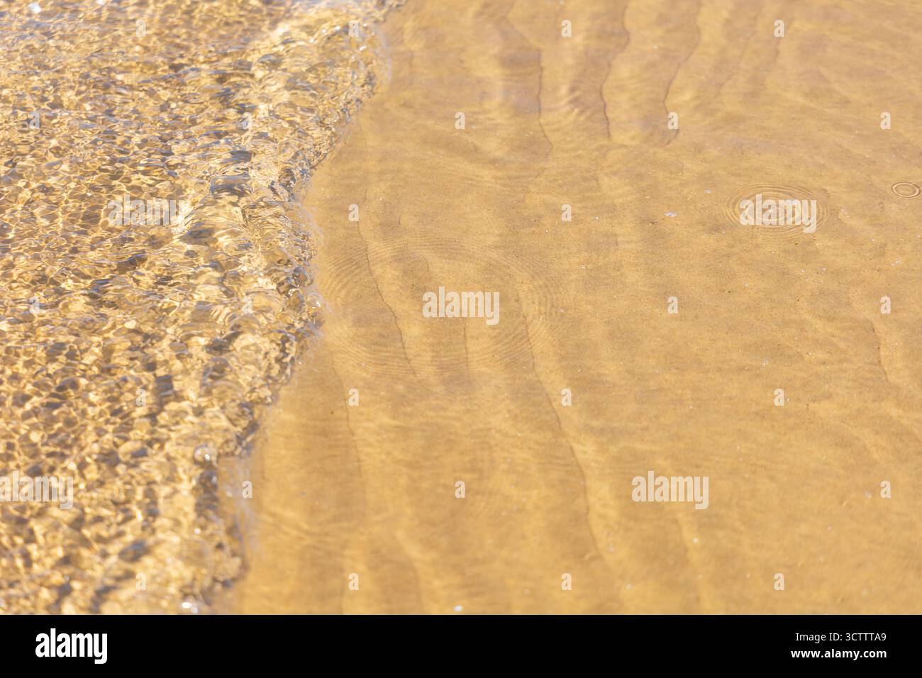 Intricate increspature di sabbia visibili sotto acque limpide e poco profonde con onde dolci, sulla tranquilla costa del Mar Baltico, creando un effetto astratto naturale Foto Stock