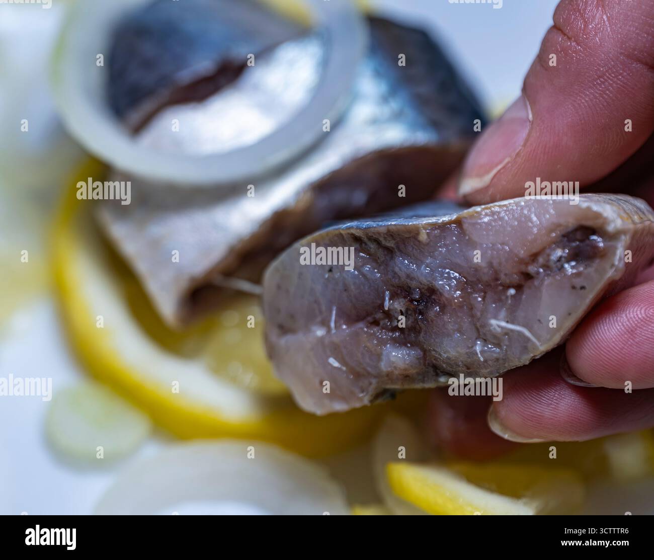 Tenendo a mano un pezzo di succosa aringa del Pacifico che gocciola succo di limone su un piatto bianco con anelli di cipolla e fette di limone, piatto di pesce da vicino Foto Stock