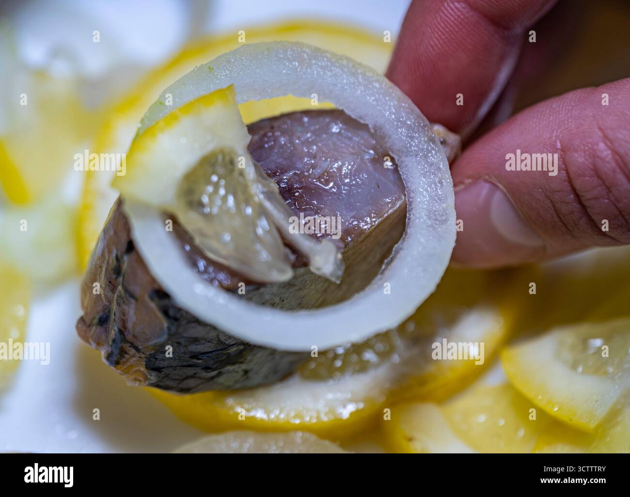 Tenendo a mano un pezzo di succosa aringa del Pacifico che gocciola succo di limone su un piatto bianco con anelli di cipolla e fette di limone, piatto di pesce da vicino Foto Stock