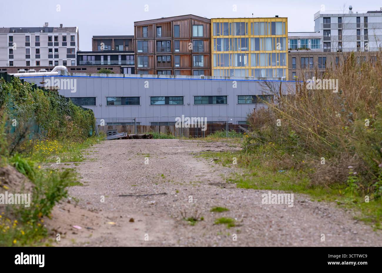 Alti e moderni edifici contro un cielo grigio nuvoloso con erba selvatica e una strada sabbiosa davanti, paesaggio urbano desolato, vista frontale Foto Stock