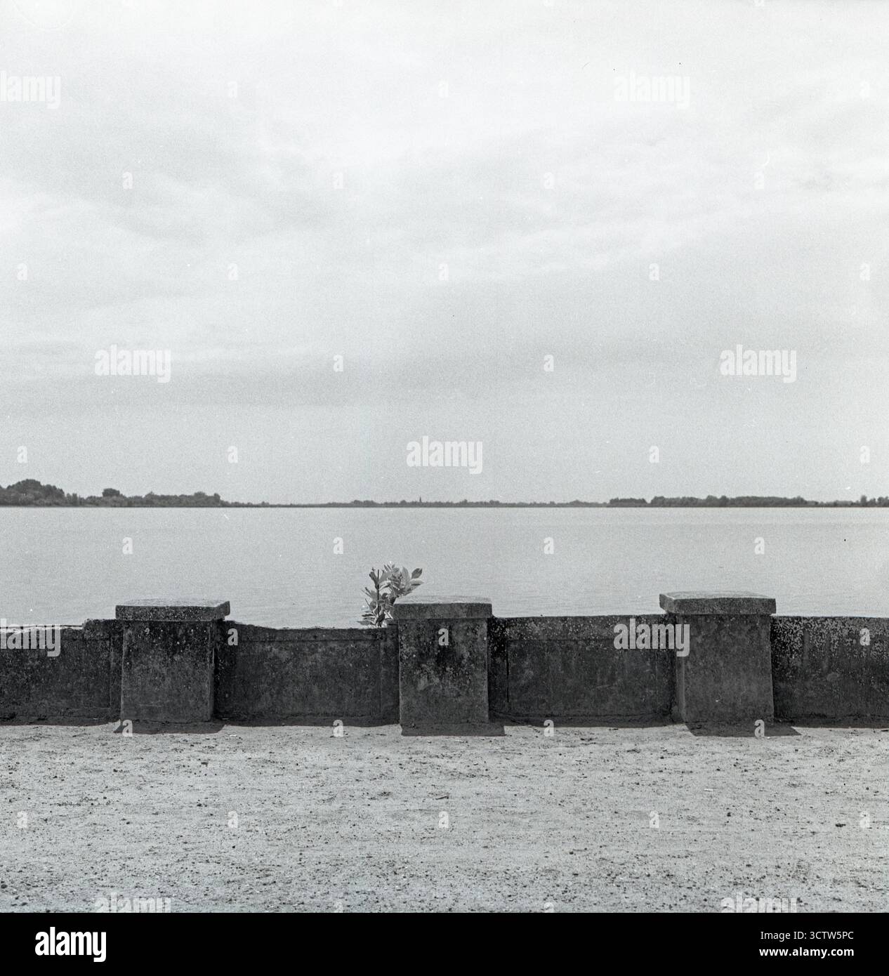 Foto quadrate in bianco e nero di formato medio di una parete stilizzata in cemento sul lungomare del lago Palić. Cielo nuvoloso, basso contrasto, composizione da cartolina. Foto Stock