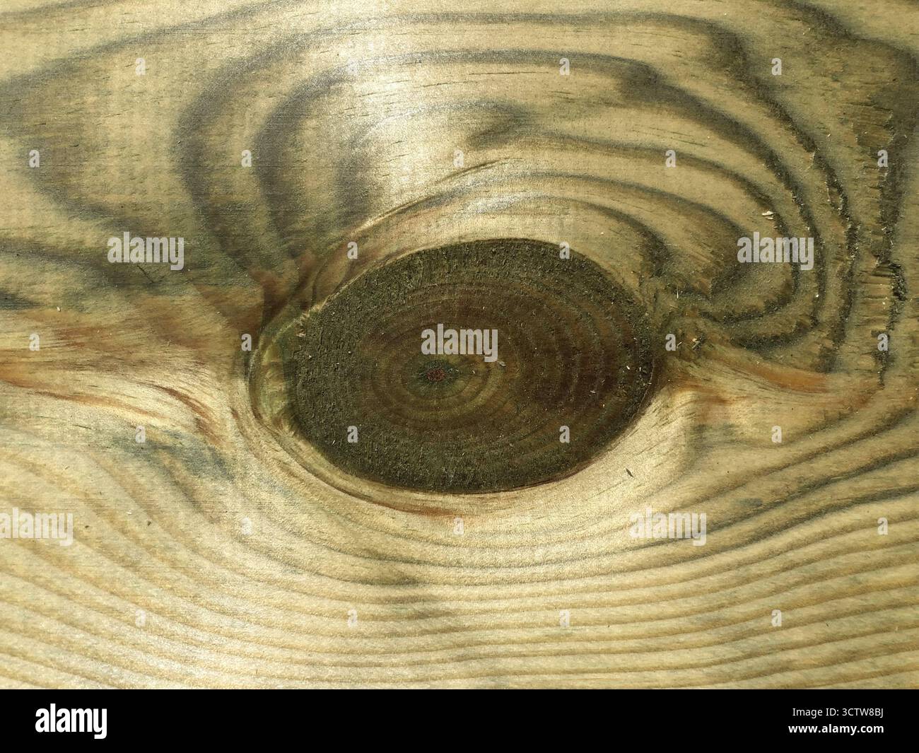 struttura in legno astratto che ricorda la pupilla di un occhio Foto Stock