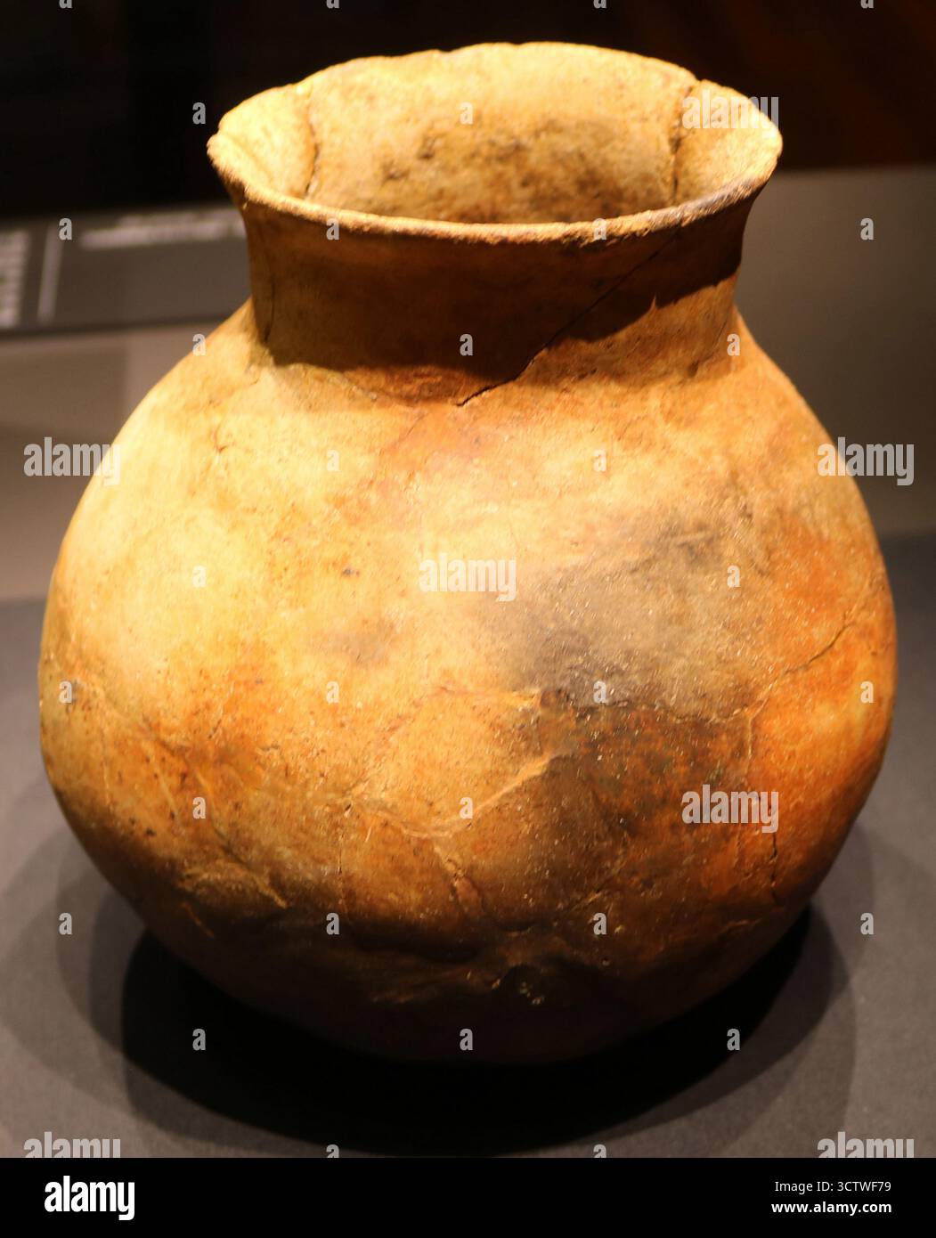 Una fotografia di un pezzo di ceramica coreana brunita rossa dell'età del bronzo, dalla collezione del Museo Nazionale di Gyeongju. L'età del bronzo in Corea è spesso considerata iniziata intorno al 900-800 a.C., anche se la transizione all'età del bronzo potrebbe essere iniziata già nel 2300 a.C. Questo periodo è cruciale per comprendere l'emergere di strumenti e armi in bronzo, così come lo sviluppo di società più complesse. c. 800 a.C. Foto Stock