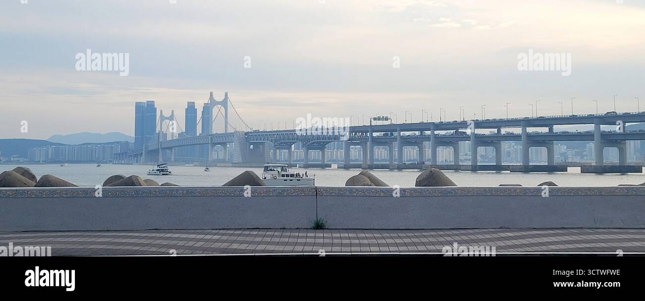Una fotografia del Gwangan Bridge, un ponte sospeso situato a Busan, Corea del Sud. Collega il distretto di Haeundae al distretto di Suyeong, con la sua superficie stradale lunga circa 6.500 metri e l'intero ponte che si estende per 7.420 metri. La costruzione iniziò nel 1994 e si concluse nel dicembre 2002, con un costo totale di 789,9 miliardi di won; non fu ufficialmente aperta fino al gennaio 2003. Questa imponente struttura è il secondo ponte più lungo del paese dopo il ponte di Incheon. 2025. Foto Stock Una fotografia del Gwangan Bridge, un ponte sospeso situato a Busan, Corea del Sud. Collega il distretto di Haeundae al distretto di Suyeong, con la sua superficie stradale lunga circa 6.500 metri e l'intero ponte che si estende per 7.420 metri. La costruzione iniziò nel 1994 e si concluse nel dicembre 2002, con un costo totale di 789,9 miliardi di won; non fu ufficialmente aperta fino al gennaio 2003. Questa imponente struttura è il secondo ponte più lungo del paese dopo il ponte di Incheon. 2025. Foto Stock
