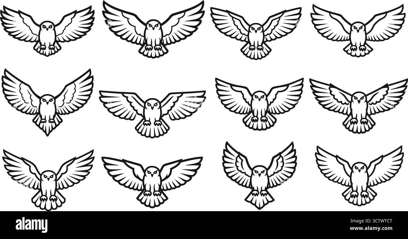 Collezione di dodici illustrazioni stilizzate di gufo, ciascuna con posizioni alari uniche Illustrazione Vettoriale