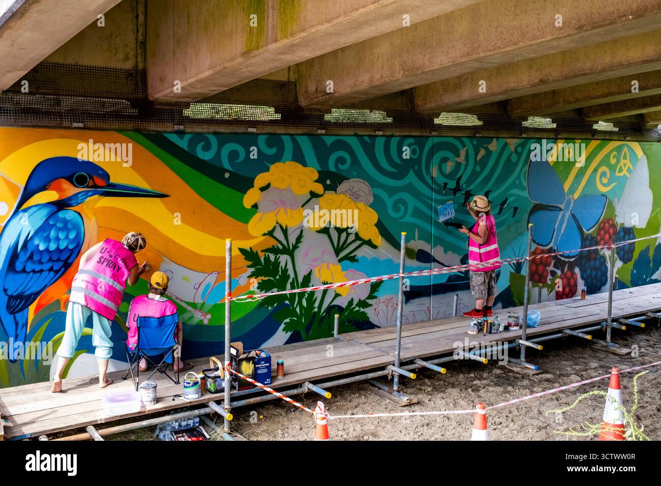 Artisti locali spruzzano colorate scene di uccelli e animali su un muro sottopassaggio vicino al fiume Ouse, Lewes, East Sussex, Regno Unito. Foto Stock