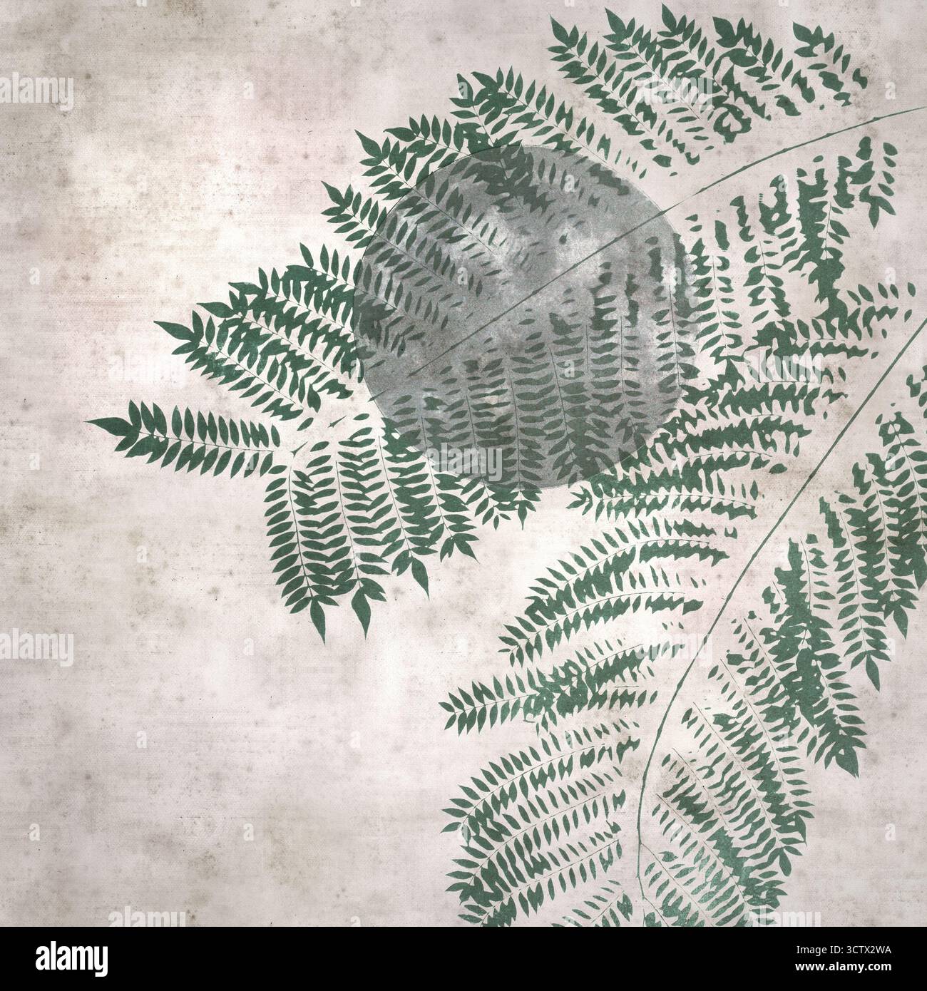 sfondo quadrato elegante in carta con luna piena e foglie di jacaranda, litografia mista e tecniche di incisione classiche Foto Stock