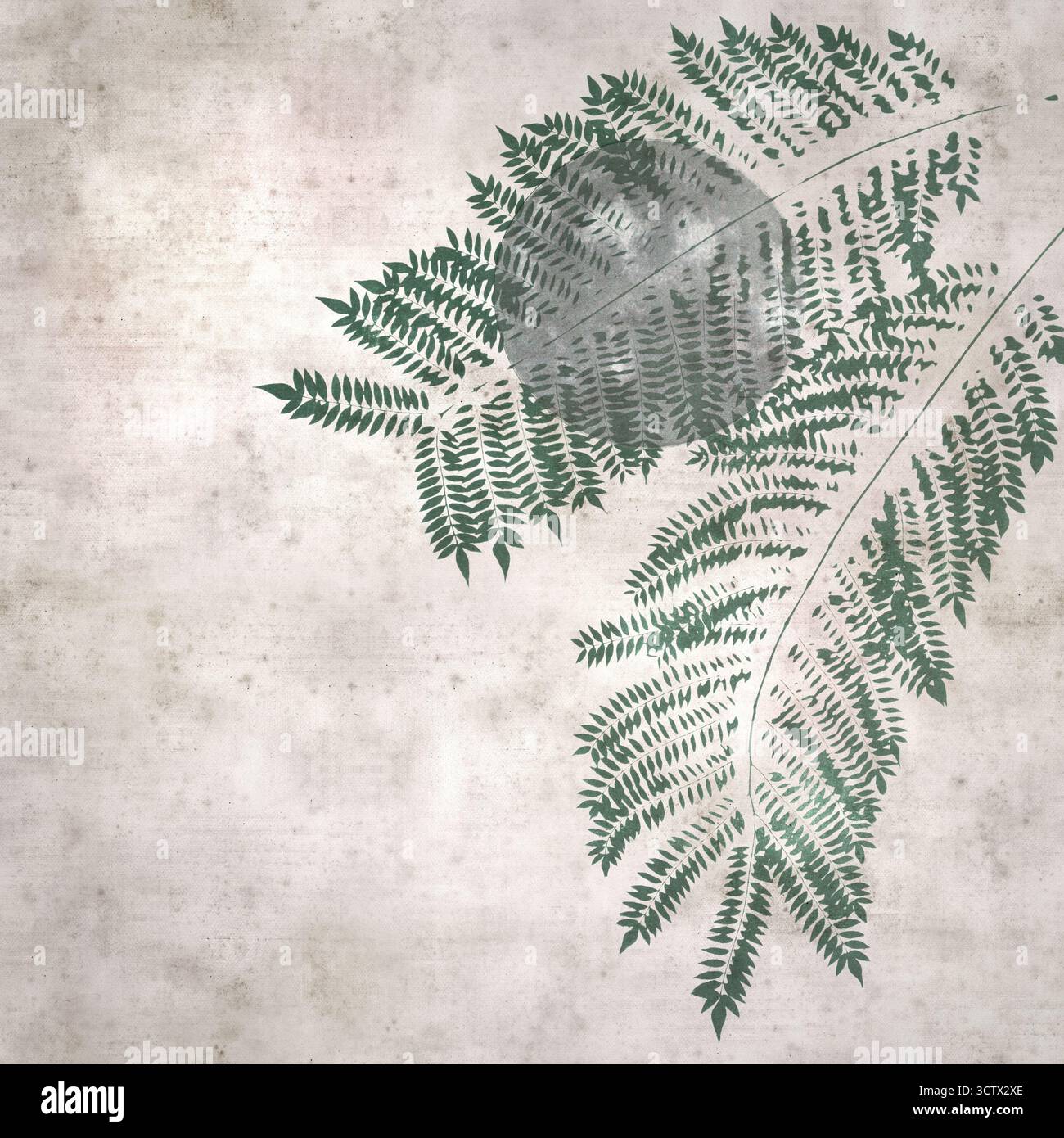 sfondo quadrato elegante in carta con luna piena e foglie di jacaranda, litografia mista e tecniche di incisione classiche Foto Stock