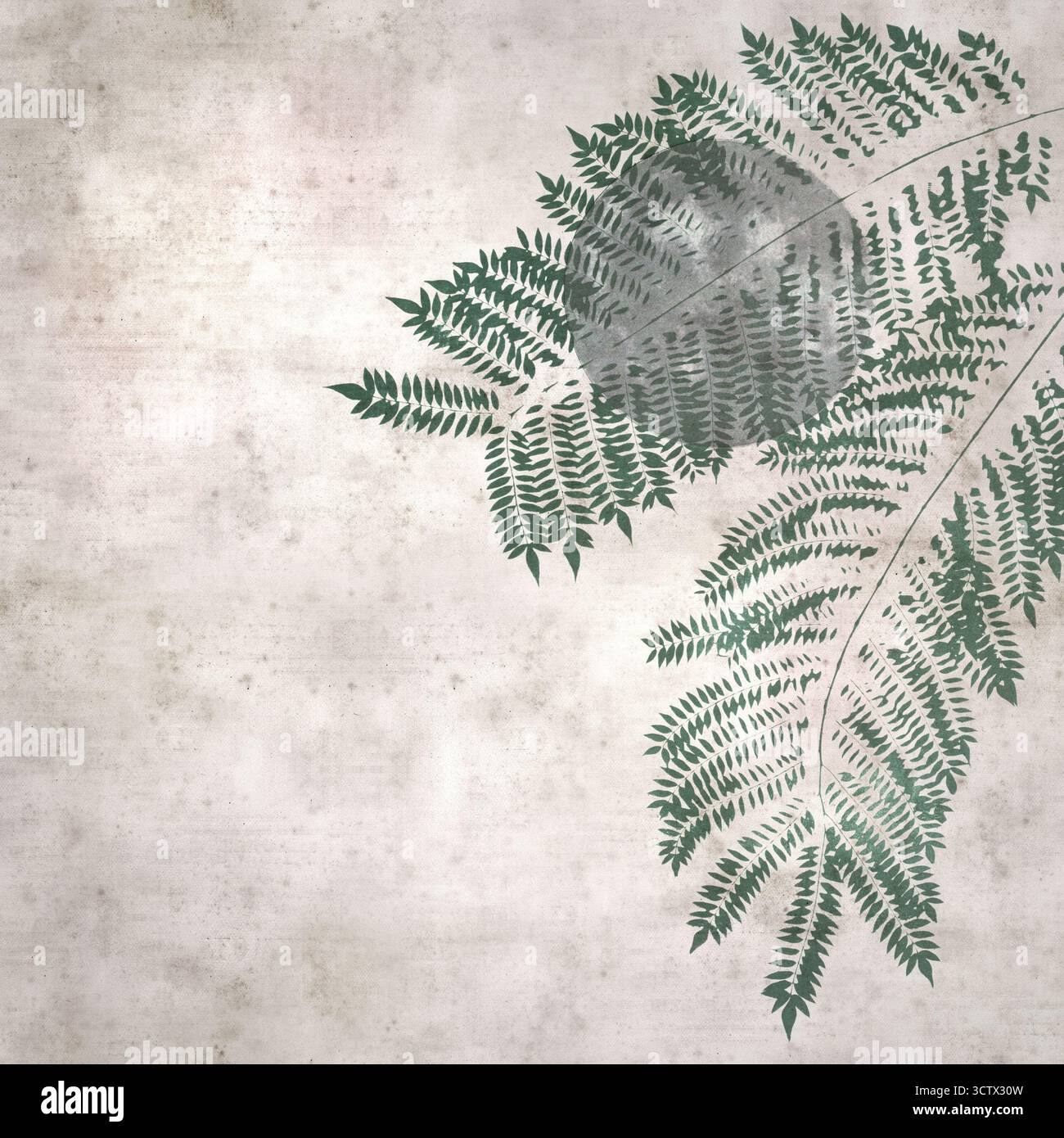sfondo quadrato elegante in carta con luna piena e foglie di jacaranda, litografia mista e tecniche di incisione classiche Foto Stock