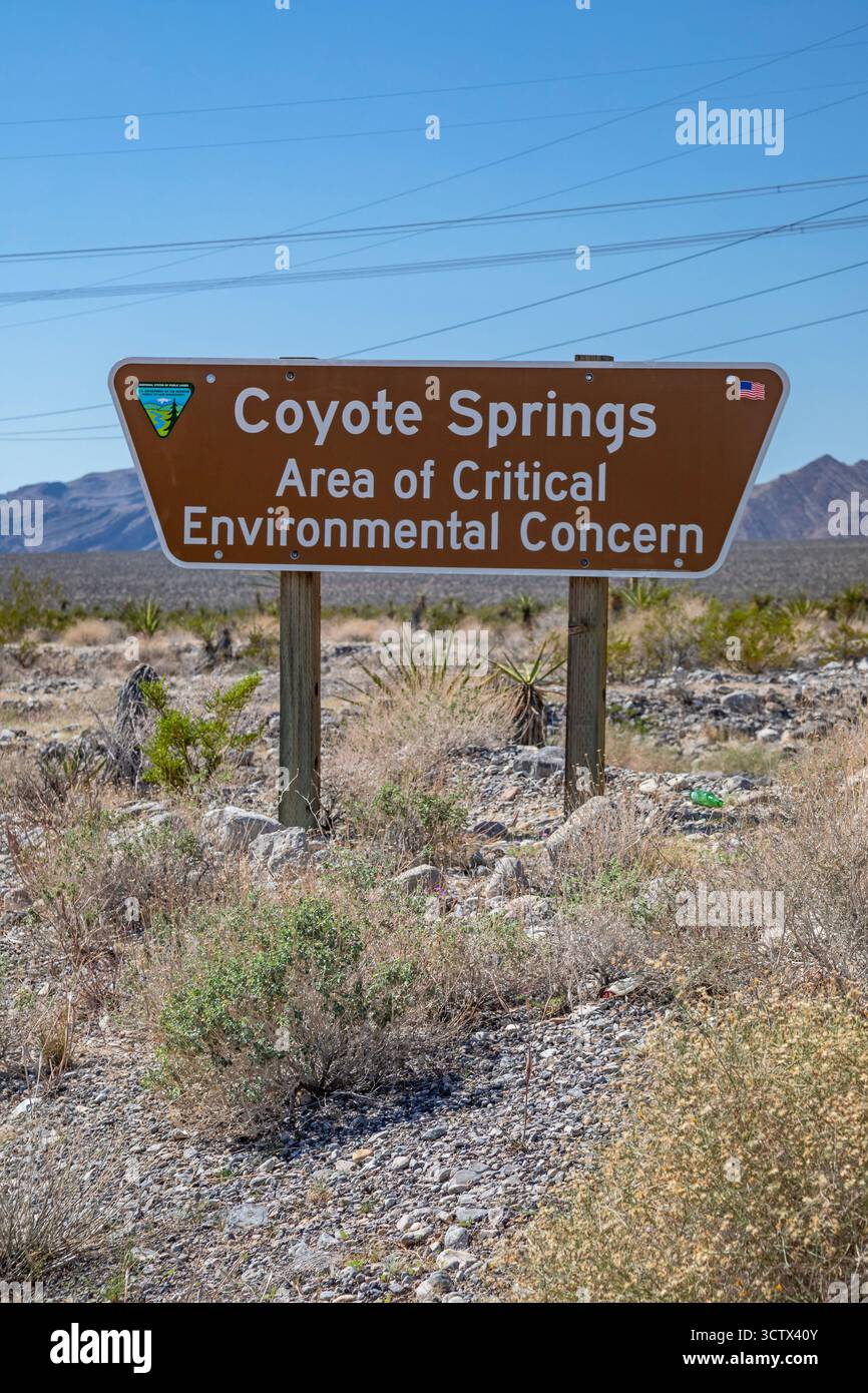 Coyote Ssprings - il Bureau of Land Management ha pubblicato un avviso di "preoccupazione ambientale critica" appena fuori dal campo da golf di Coyote Springs nel ne Foto Stock