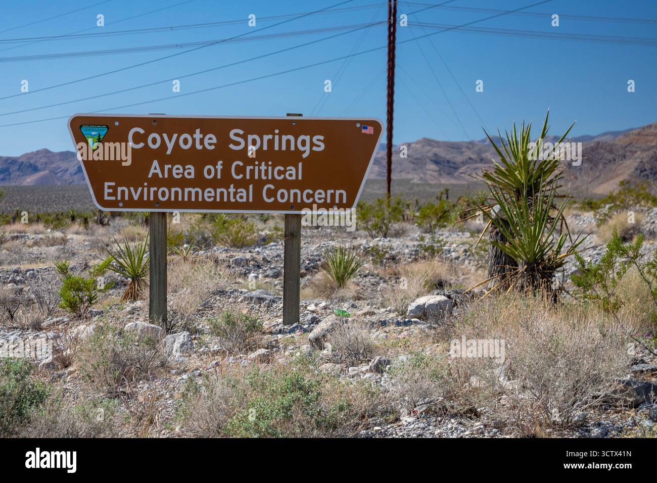 Coyote Ssprings - il Bureau of Land Management ha pubblicato un avviso di "preoccupazione ambientale critica" appena fuori dal campo da golf di Coyote Springs nel ne Foto Stock