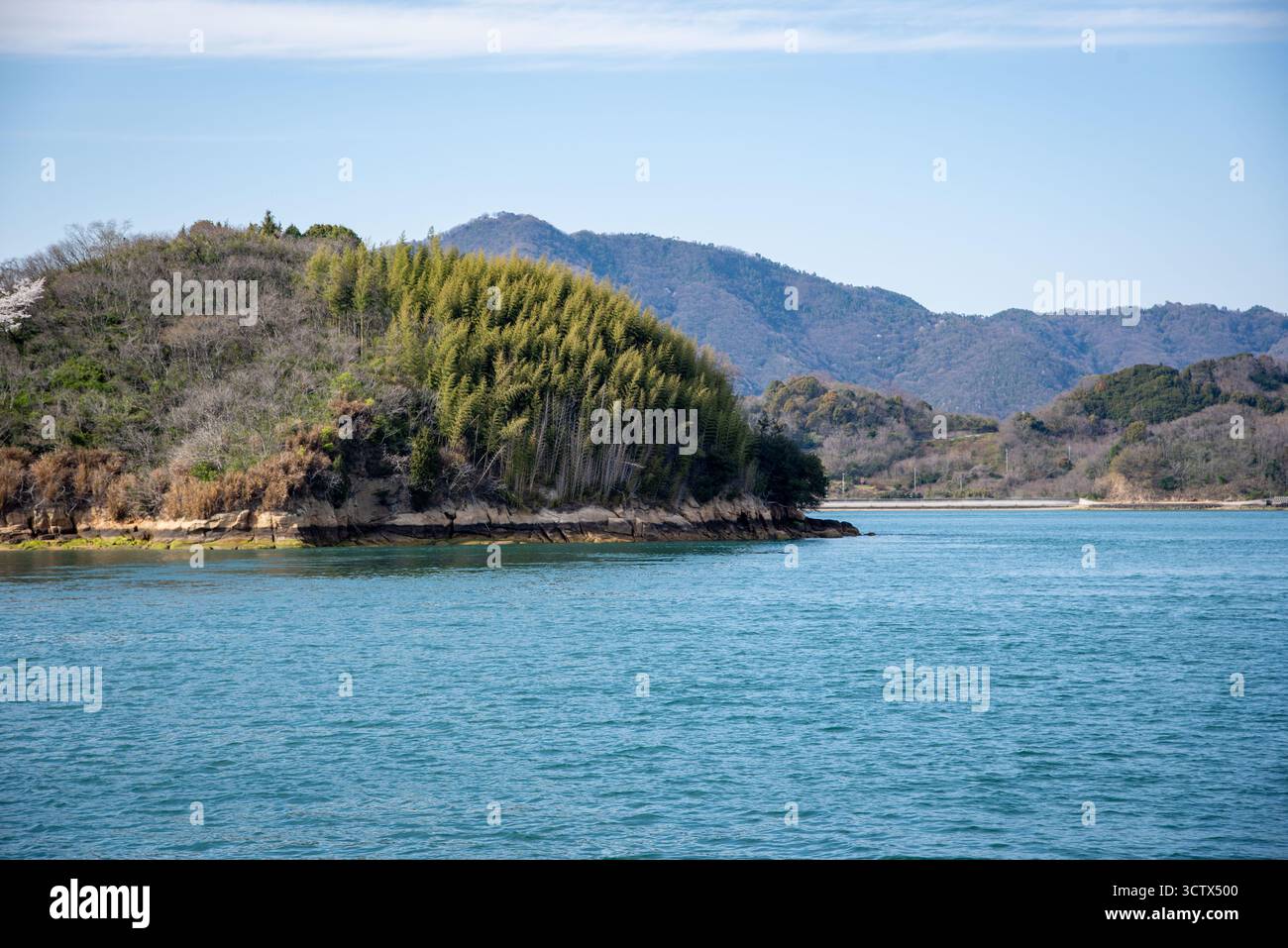 Una lussureggiante collina coperta da una foresta di bambù sorge dalle tranquille acque turchesi costiere del Giappone rurale. Foto Stock
