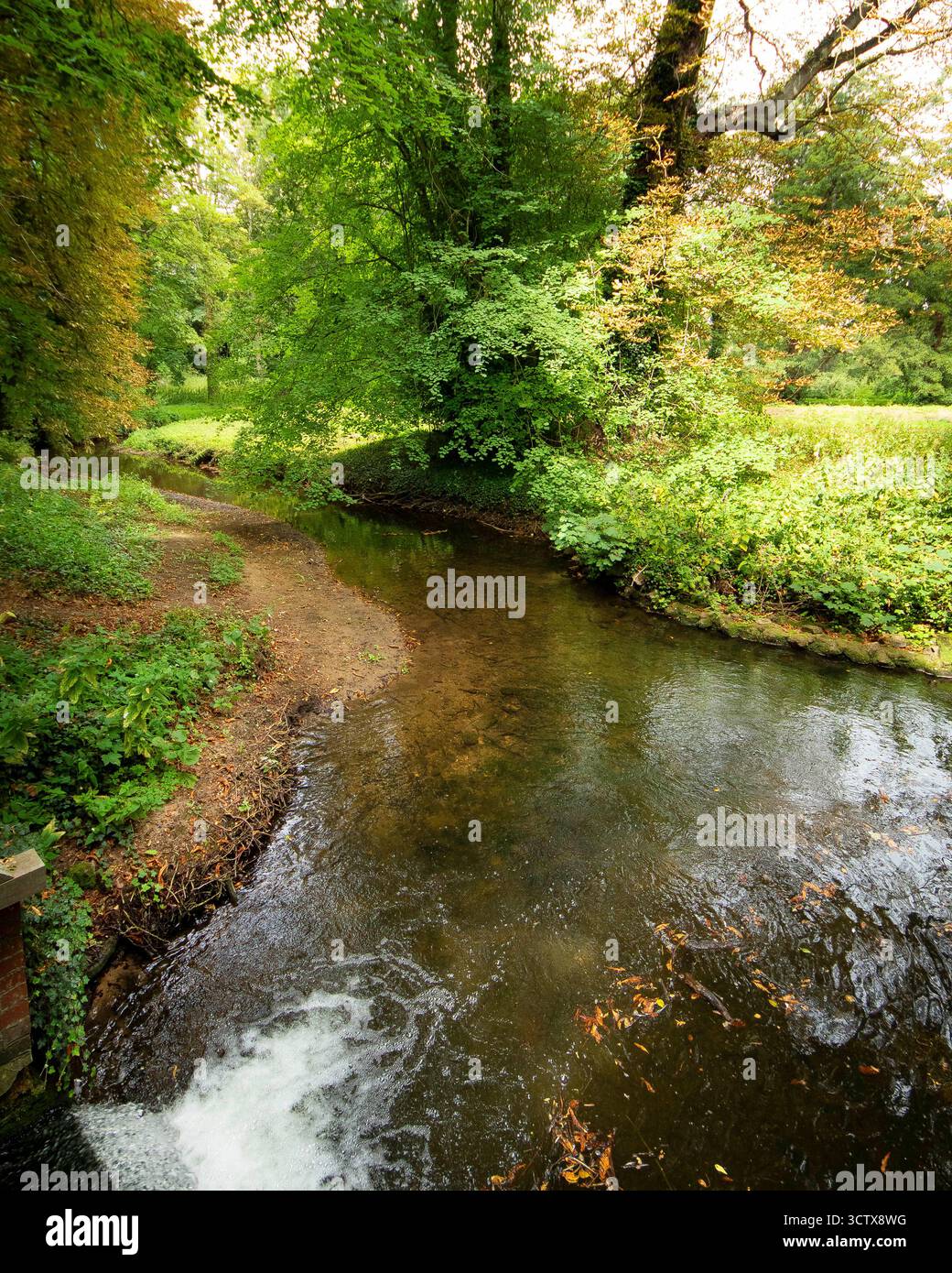 Il fiume Stiffkey scorre attraverso i terreni di Walsingham Priory, Little Walsingham, Norfolk, Inghilterra Regno Unito Foto Stock